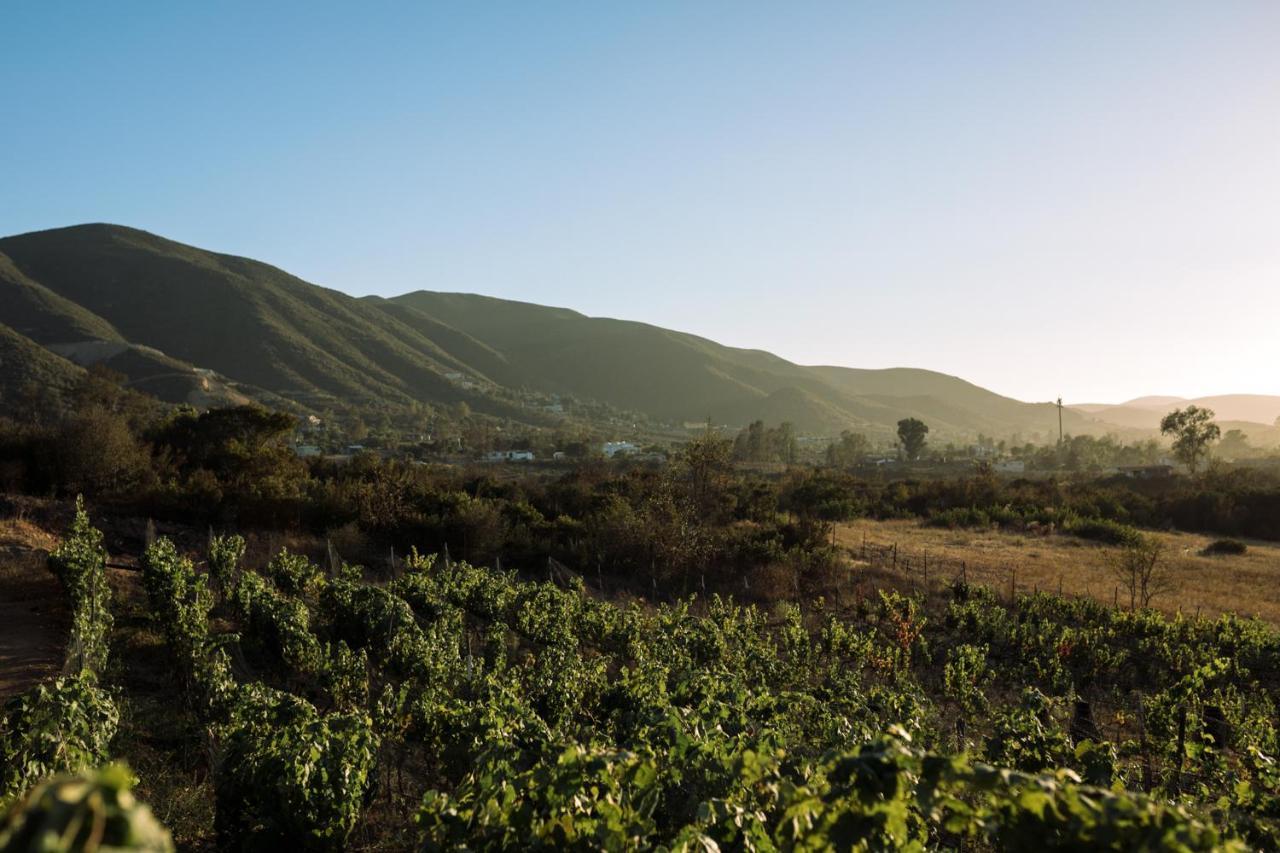 Uvauva Eco-Retreat Bed & Breakfast Valle de Guadalupe Exterior photo