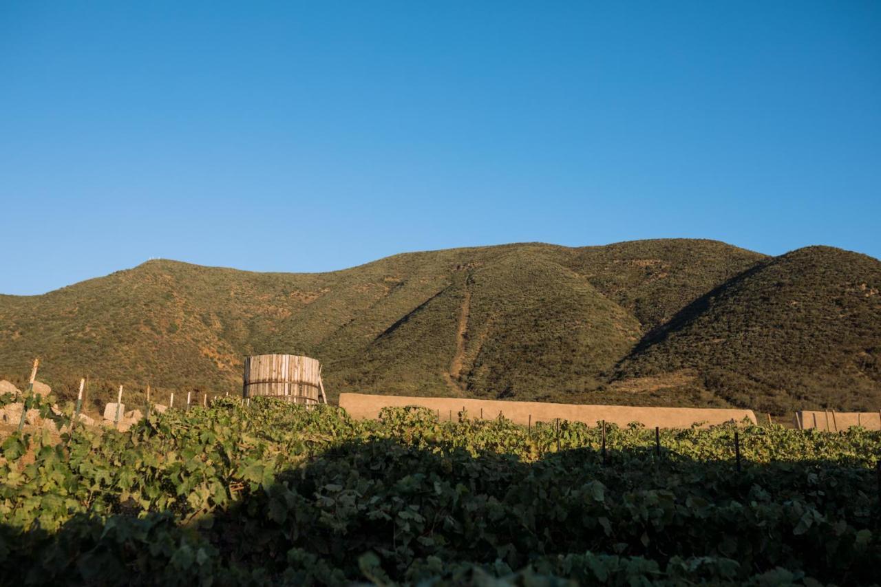 Uvauva Eco-Retreat Bed & Breakfast Valle de Guadalupe Exterior photo