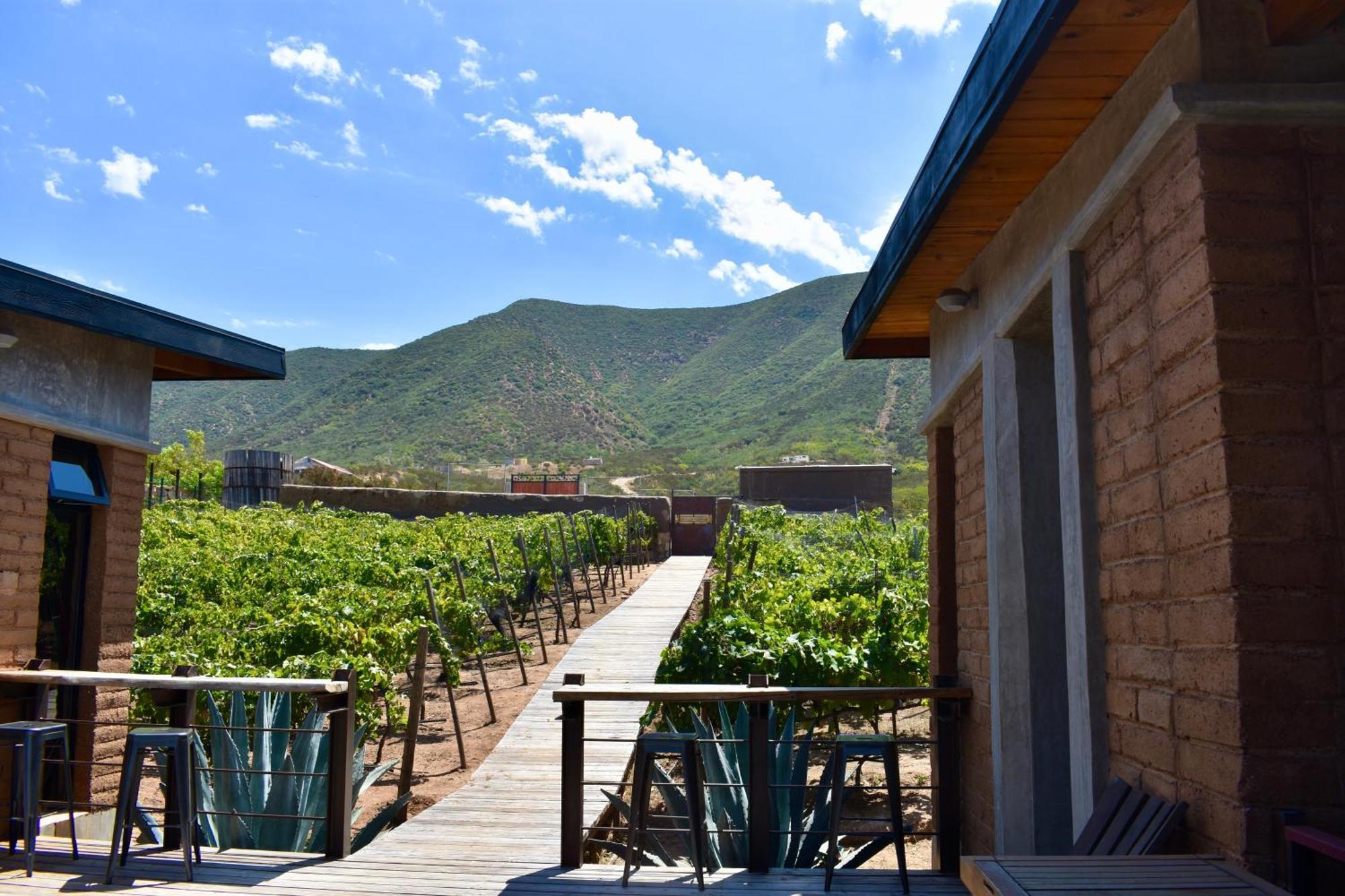 Uvauva Eco-Retreat Bed & Breakfast Valle de Guadalupe Exterior photo