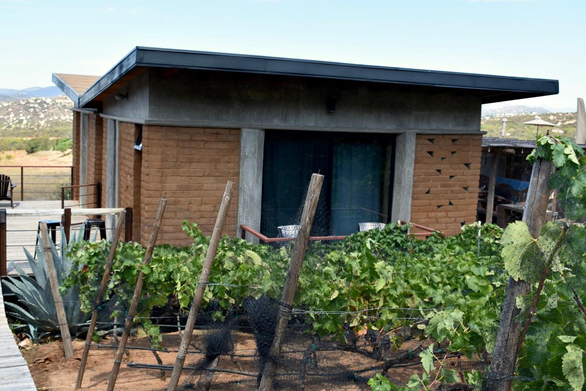 Uvauva Eco-Retreat Bed & Breakfast Valle de Guadalupe Exterior photo