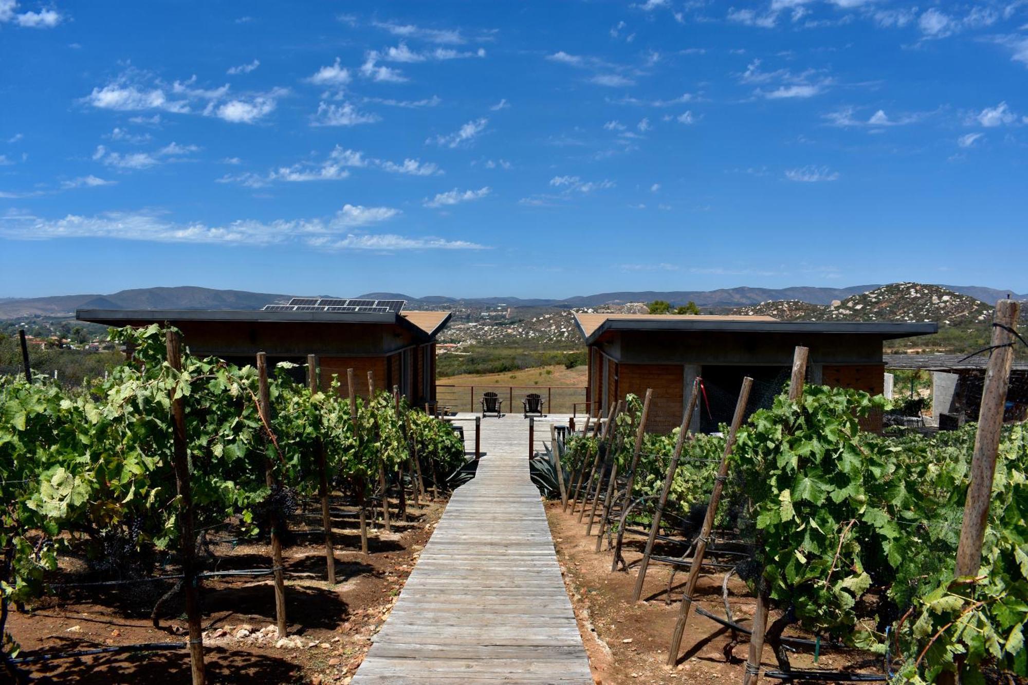 Uvauva Eco-Retreat Bed & Breakfast Valle de Guadalupe Exterior photo